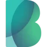 Bigbank FI