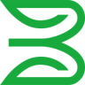 BSP
