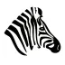 Investec Securities (South Africa)