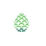 Pinecone Research logo